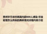 贵州毕节农村两周内超600人感染 织金疫情怎么传染的具体情况详细内容介绍