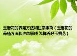 玉簪花的养殖方法和注意事项（玉簪花的养殖方法和注意事项 怎样养好玉簪花）