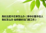 鱼缸出差不在家怎么办（家中长期不住人鱼缸怎么办 如何做好出门前工作）