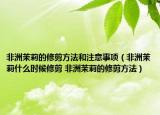 非洲茉莉的修剪方法和注意事项（非洲茉莉什么时候修剪 非洲茉莉的修剪方法）