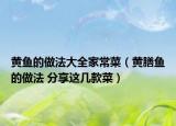 黄鱼的做法大全家常菜（黄膳鱼的做法 分享这几款菜）