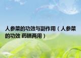 人参菜的功效与副作用（人参菜的功效 药膳两用）