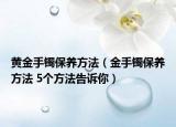 黄金手镯保养方法（金手镯保养方法 5个方法告诉你）
