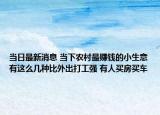 当日最新消息 当下农村最赚钱的小生意有这么几种比外出打工强 有人买房买车