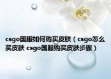csgo国服如何购买皮肤（csgo怎么买皮肤 csgo国服购买皮肤步骤）