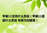 苹果11支持什么系统（苹果11搭载什么系统 专家为你解答）