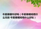 牛筋草喂牛好吗（牛筋草喂鸡有什么功效 牛筋草喂鸡有什么好处）