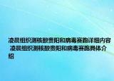 凌晨组织测核酸贵阳和病毒赛跑详细内容 凌晨组织测核酸贵阳和病毒赛跑具体介绍
