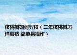 核桃树如何剪枝（二年核桃树怎样剪枝 简单易操作）