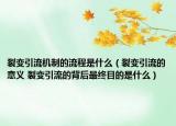 裂变引流机制的流程是什么（裂变引流的意义 裂变引流的背后最终目的是什么）