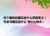 各个国家的国花是什么原因意义（巴拿马国花是什么 有什么特点）