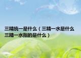 三精统一是什么（三精一水是什么 三精一水指的是什么）