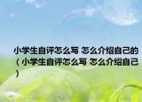 小学生自评怎么写 怎么介绍自己的（小学生自评怎么写 怎么介绍自己）