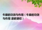 牛膝的功效与作用（牛膝的功效与作用 逐瘀通经）