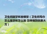卫生间刷牙杯放哪里（卫生间毛巾怎么挂牙杯怎么放 怎样做到优雅大方）