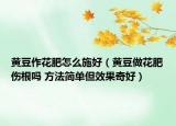 黄豆作花肥怎么施好（黄豆做花肥伤根吗 方法简单但效果奇好）