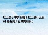 社工属于哪类编制（社工是什么编制 是否属于行政类编制）