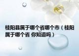 桂阳县属于哪个省哪个市（桂阳属于哪个省 你知道吗）