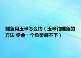 鲤鱼用玉米怎么钓（玉米钓鲤鱼的方法 学会一个鱼篓装不下）