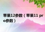 苹果12参数（苹果11 pro参数）