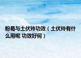 粉曷与土伏玲功效（土伏玲有什么用呢 功效好何）