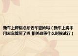 新车上牌照必须去车管所吗（新车上牌不用去车管所了吗 相关政策什么时候试行）