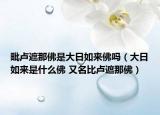 毗卢遮那佛是大日如来佛吗（大日如来是什么佛 又名比卢遮那佛）