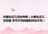冷棚丝瓜几月份种植（大棚丝瓜几月捂棚 季节不同捂棚时间也不同）