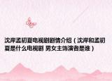 沈岸孟初夏电视剧剧情介绍（沈岸和孟初夏是什么电视剧 男女主饰演者是谁）