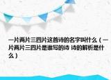 一片两片三四片这首诗的名字叫什么（一片两片三四片是谁写的诗 诗的解析是什么）