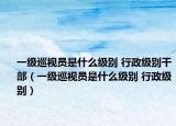 一级巡视员是什么级别 行政级别干部（一级巡视员是什么级别 行政级别）
