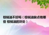 棕榈油不好吗（棕榈油缺点有哪些 棕榈油的坏处）