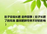 肚子容易长肥 是咋回事（肚子长肥了的危害 腹部肥胖带来不好的影响）