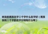 姓张的男孩名字三个字什么名字好（男孩张姓三个字的名字分别有什么呢）