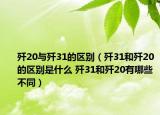 歼20与歼31的区别（歼31和歼20的区别是什么 歼31和歼20有哪些不同）