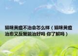 猫咪黄疸不治会怎么样（猫咪黄疸治愈又反复能治好吗 你了解吗）
