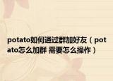 potato如何通过群加好友（potato怎么加群 需要怎么操作）