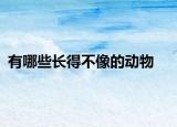 有哪些长得不像的动物