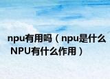 npu有用吗（npu是什么 NPU有什么作用）