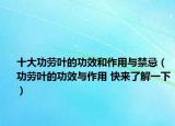 十大功劳叶的功效和作用与禁忌（功劳叶的功效与作用 快来了解一下）