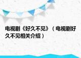 电视剧《好久不见》（电视剧好久不见相关介绍）