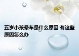 五岁小孩晕车是什么原因 有这些原因怎么办