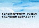 妻子的秘密电视全剧大结局（丈夫的秘密电视剧大结局如何 最后康岚怎么样了）