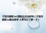子宫内膜癌1a1期能完全治好吗（子宫内膜癌1a期治愈率 大家可以了解一下）