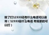 除了打12333还有什么电话可以咨询（12333是什么电话 有需要的可以打）