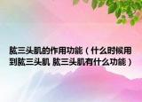 肱三头肌的作用功能（什么时候用到肱三头肌 肱三头肌有什么功能）