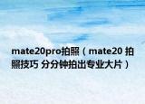 mate20pro拍照（mate20 拍照技巧 分分钟拍出专业大片）