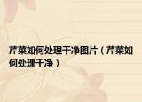 芹菜如何处理干净图片（芹菜如何处理干净）