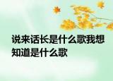 说来话长是什么歌我想知道是什么歌