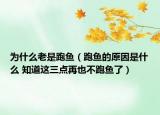 为什么老是跑鱼（跑鱼的原因是什么 知道这三点再也不跑鱼了）